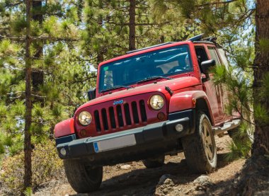Tenerife, İspanya - 02 Eylül 2016: Düşmüş eski kuru çam ağacı tarafından engellenen dar kayalık dağ ormanı yolunda jeep. Şoför bir dolambaçlı yol arıyor. Arka planda parlak mavi gökyüzü