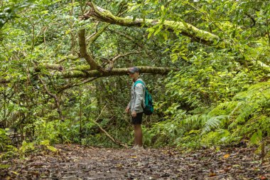 Kutsal ormanda genç bir gezgin. Tenerife adasında antik Anaga dağ yamaçları. Dar dolambaçlı yollar boyunca dev defneler ve fundalık ağacı. Yürüyüş için cennet. Kanarya