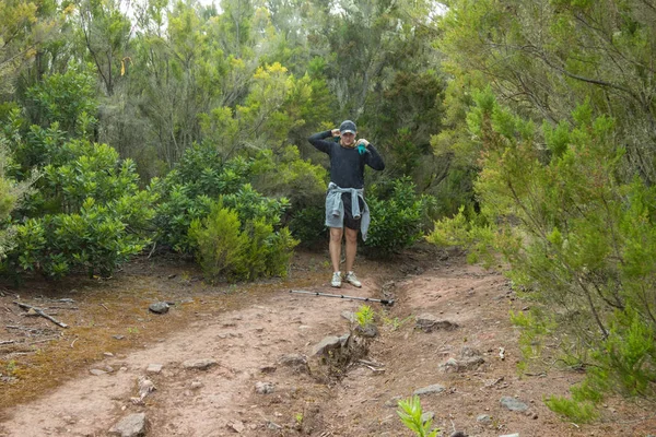 Un giovane viaggiatore nella foresta della reliquia. Piste dell'antica catena montuosa di Anaga sull'isola di Tenerife. Alloro gigante e erica lungo stretti sentieri tortuosi. Paradiso per escursioni. Canarie — Foto Stock