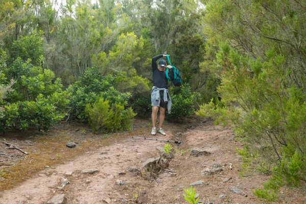 Un giovane viaggiatore nella foresta della reliquia. Piste dell'antica catena montuosa di Anaga sull'isola di Tenerife. Alloro gigante e erica lungo stretti sentieri tortuosi. Paradiso per escursioni. Canarie — Foto Stock