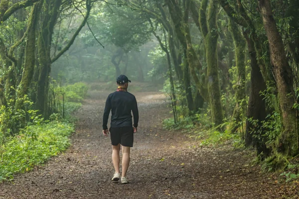 Un joven viajero en el bosque de reliquias. Pendientes de la antigua cordillera de Anaga en la isla de Tenerife. Laureles gigantes y brezos a lo largo de estrechos senderos sinuosos. Paraíso para el senderismo. Canarias — Foto de Stock