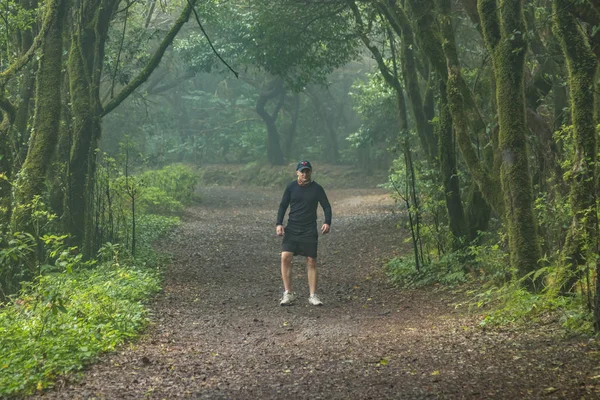 Een jonge reiziger in het relikwie bos. Hellingen van de oude Anaga bergketen op het eiland Tenerife. Gigantische lauweren en Heide boom langs smalle kronkelende paden. Paradijs om te wandelen. Canarische — Stockfoto