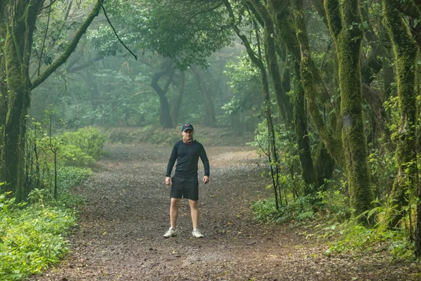 Een jonge reiziger in het relikwie bos. Hellingen van de oude Anaga bergketen op het eiland Tenerife. Gigantische lauweren en Heide boom langs smalle kronkelende paden. Paradijs om te wandelen. Canarische — Stockfoto