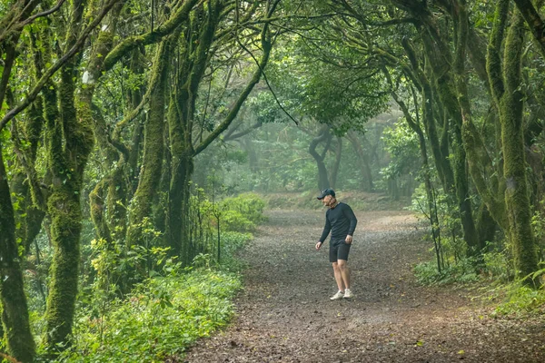 Ένας νεαρός ταξιδιώτης στο δάσος των ΛΕΙΨΩΝ. Πλαγιές της αρχαίας οροσειράς Anaga στο νησί της Τενερίφη. Γιγάντιες δάφνες και δέντρο με στενά μονοπάτια. Παράδεισος για πεζοπορία. Κανάριοι — Φωτογραφία Αρχείου