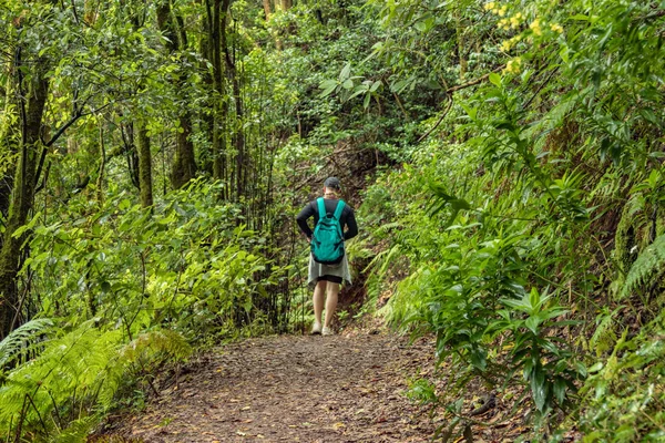 Un giovane viaggiatore nella foresta della reliquia. Piste dell'antica catena montuosa di Anaga sull'isola di Tenerife. Alloro gigante e erica lungo stretti sentieri tortuosi. Paradiso per escursioni. Canarie — Foto Stock