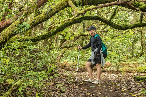 Un giovane viaggiatore nella foresta della reliquia. Piste dell'antica catena montuosa di Anaga sull'isola di Tenerife. Alloro gigante e erica lungo stretti sentieri tortuosi. Paradiso per escursioni. Canarie — Foto Stock