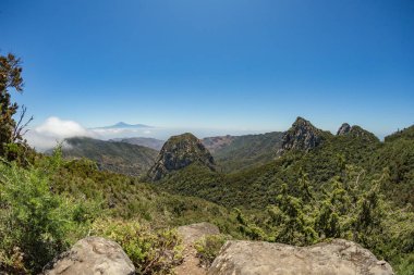 Los roques ve ünlü Agando kaya - La Gomera Garajonay milli parkı yakınında kült bir yer. Eski volkanik dağ zirveleri. Dik yeşil yamaçlarda kalıntı defne ve fundalık çalılıkları. Kanarya. İspanya