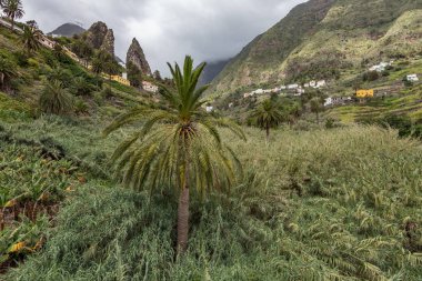 San Pedro Rocks - volkanik ikiz dağlar, La Gomera La Hermigua doğal dönüm noktası. Güneşli gün - tipik kırsal alan, muz tarlaları, meyve bahçeleri ve valle üzüm bağları. Kanarya Adaları İspanya