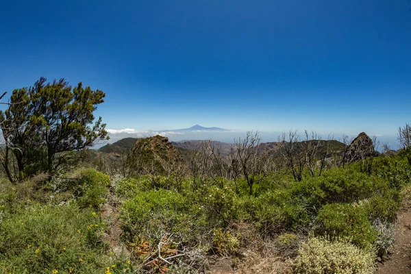 Панорамний вид на острів Тенеріфе з вулканом Тейде над горизонтом і Лос-Рокес Пікс біля Національного парку Гараджо в Ла Гомера. Зарості Реліктового Лаври і вереск на крутих зелених схилах. Канарські — стокове фото
