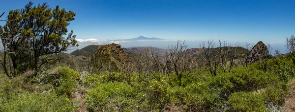 Vista panorâmica da ilha de Tenerife com vulcão Teide acima do horizonte e picos de Los Roques perto do parque nacional de Garajonay em La Gomera. Moitas de louros de relíquia e urze em encostas verdes íngremes. Canário — Fotografia de Stock