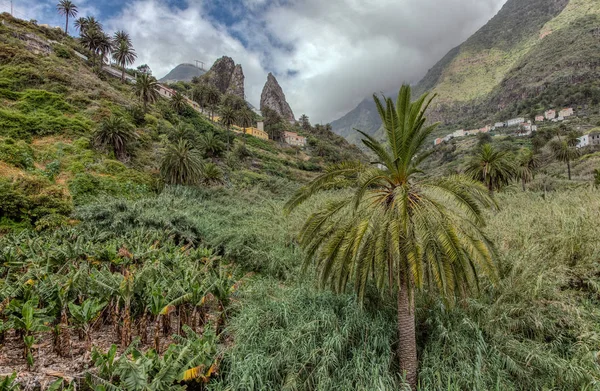 San Pedro Rocks - volkanik ikiz dağlar, La Gomera La Hermigua doğal dönüm noktası. Güneşli gün - tipik kırsal alan, muz tarlaları, meyve bahçeleri ve valle üzüm bağları. Kanarya Adaları İspanya