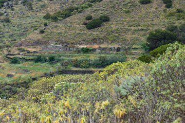 Park Doğal Majona. La Gomera Adası 'nın kuzeydoğusunda. Yeşil çimlerle kaplı eski volkanik dağlar, dik yamaçlardaki çalılıklar ve çalılar. Kanarya Adaları, İspanya