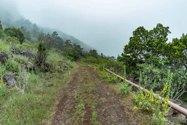 Вузька сільська дорога в горах Паркової природної Майони. Вид на північно-східну частину острова Гомера. Канарські острови (Іспанія) — стокове фото