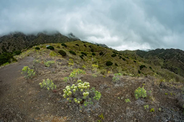 Szűk vidéki út a hegyekben Parque Natural Majona. Alacsony nedves felhők lógnak a zöld lejtők felett. Kilátás a La Gomera sziget északkeleti részére. Kanári-szigetek, Spanyolország — Stock Fotó