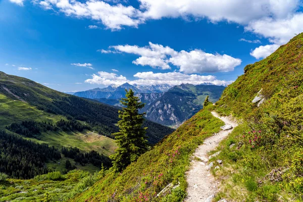 Vacker Utsikt Över Vackra Landskap Schweiziska Alperna Färska Gröna Ängar — Stockfoto