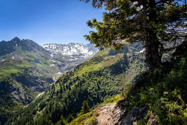 Vista Panorámica Del Hermoso Paisaje Los Alpes Suizos Prados Verdes — Foto de Stock