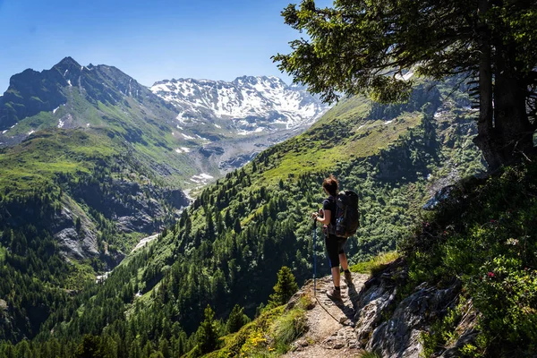 Viajante Feminina Com Trilha Montanha Mochila Admirando Vistas Dos Alpes — Fotografia de Stock