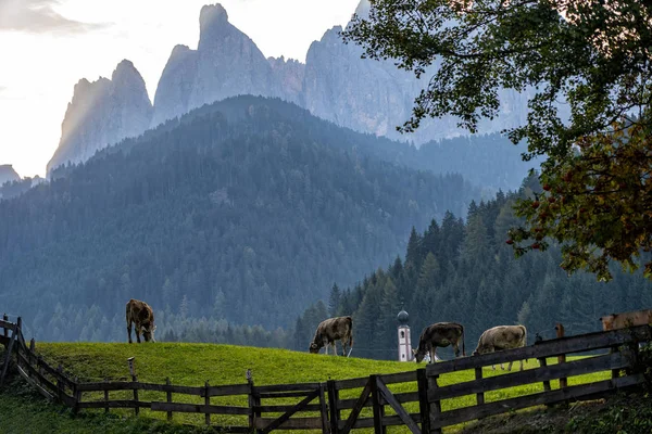 Nádherné Slunečné Krajiny Dolomit Alp Johann Church Santa Maddalena Val — Stock fotografie