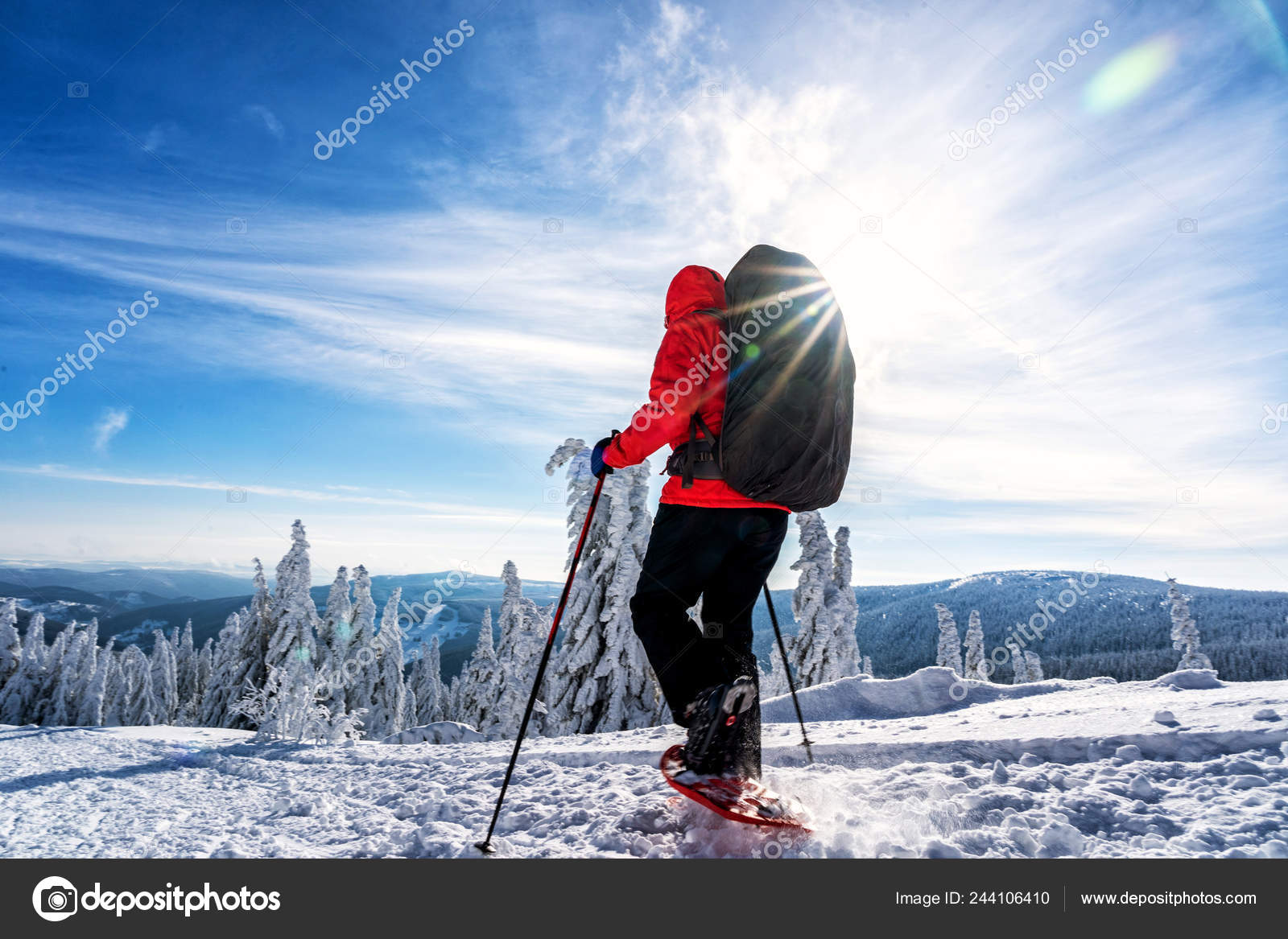 冬季运动活动女子徒步旅行背包和雪鞋雪鞋在雪小道森林美丽的风景与针叶树和白雪 图库照片 C 1tomm 冬季运动活动女子徒步旅行背包和雪鞋雪鞋在雪小道森林美丽的风景与针叶树和白雪 图库照片 C 1tomm