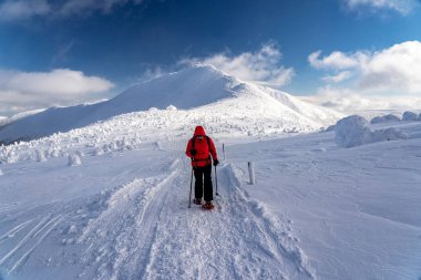 Kış spor aktivitesi. Kadın uzun yürüyüşe çıkan kimse sırt çantası ve kar iz snowshoeing kar ayakkabıları ile hiking. İğne yapraklı ağaçlar ve beyaz kar güzel manzara.