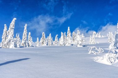 Dağ kabin puslu bir hava içinde ayrıntı görünümü. Sisli havalarda: bir karla kaplı manzara.