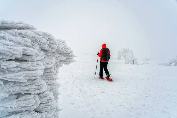 冬のスポーツ活動 女性ハイカーのバックパックとスノーシュー雪歩道林スノーシュー ハイキングします 針葉樹と雪と霧の冬の風景 — ストック写真