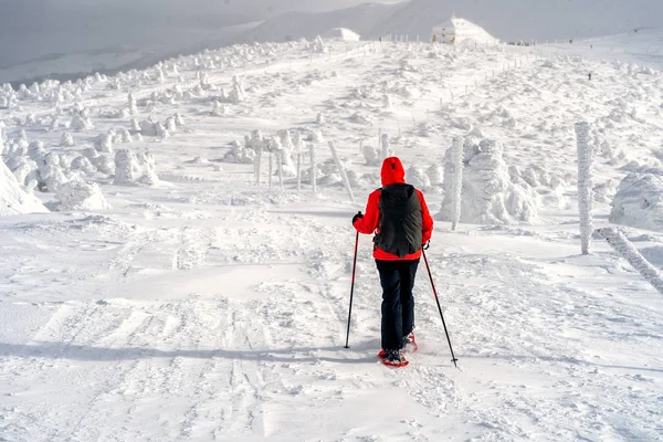 Χειμερινή Αθλητική Δραστηριότητα Γυναίκα Πεζοπόρος Πεζοπορία Σακίδιο Και Χιονοπέδιλα Snowshoeing — Φωτογραφία Αρχείου
