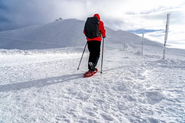 Winter Sport Activiteit Vrouw Wandelaar Wandelen Met Rugzak Sneeuwschoenen Sneeuwschoenen — Stockfoto