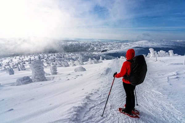 Actividad Deportiva Invierno Senderismo Mujer Con Mochila Raquetas Nieve Sendero — Foto de Stock