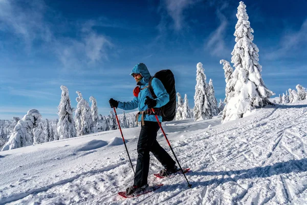 Actividad Deportiva Invierno Senderismo Mujer Con Mochila Raquetas Nieve Bosque — Foto de Stock