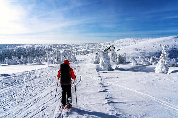 Χειμερινή Αθλητική Δραστηριότητα Γυναίκα Πεζοπόρος Πεζοπορία Σακίδιο Και Χιονοπέδιλα Snowshoeing — Φωτογραφία Αρχείου