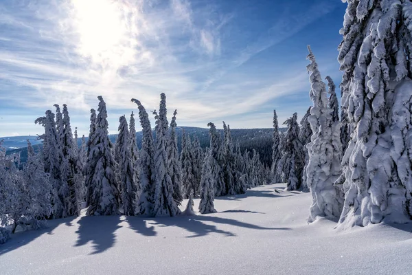 Beautiful Winter Sunny Day Snowy Mountains Snow Covered Landscape Mountains — Stock Photo, Image