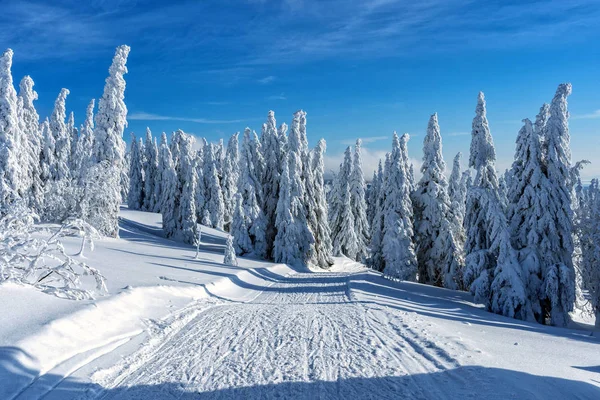 Hermoso Día Soleado Invierno Montañas Nevadas Paisaje Cubierto Nieve Montañas — Foto de Stock