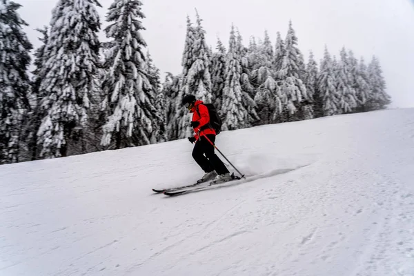 スキー場の斜面に赤いジャケットに身を包んだ女性スキーヤー — ストック写真