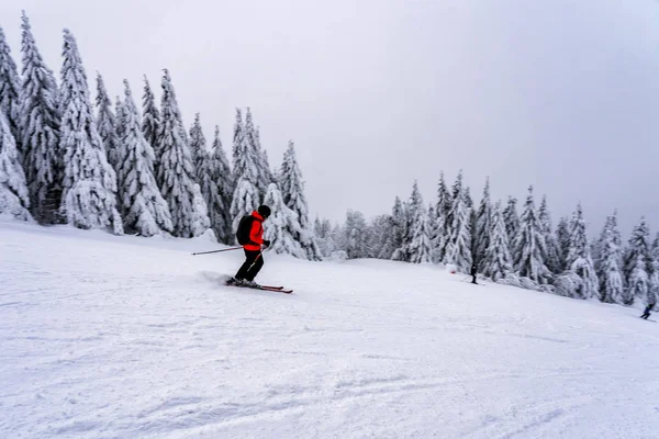 Female Skier Dressed Red Jacket Ski Slope — Stock Photo, Image