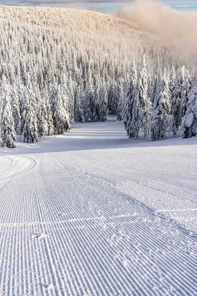 Groomed Ski Slope Nobody Waiting Used Surrounded Snow Covered Trees — Stock Photo, Image