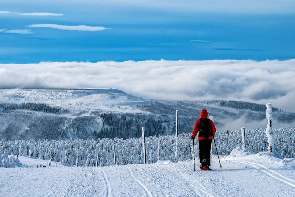 Actividad Deportiva Invierno Senderismo Mujer Con Mochila Raquetas Nieve Bosque — Foto de Stock