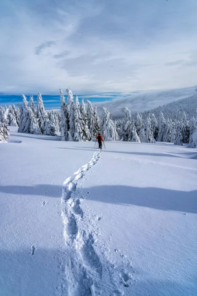 Kış Spor Aktivitesi Kadın Uzun Yürüyüşe Çıkan Kimse Sırt Çantası — Stok fotoğraf
