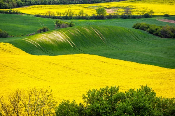 Scenic View Beautiful Moravian Tuscany Landscape South Moravia Czech Republic — Stock Photo, Image