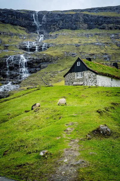 House Green Roof Saksun Faroe Islands — Stock Photo, Image