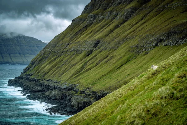 Fırtınalı Havada Faroe Adaları Nda Yüksek Uçurumları Olan Dramatik Deniz — Stok fotoğraf