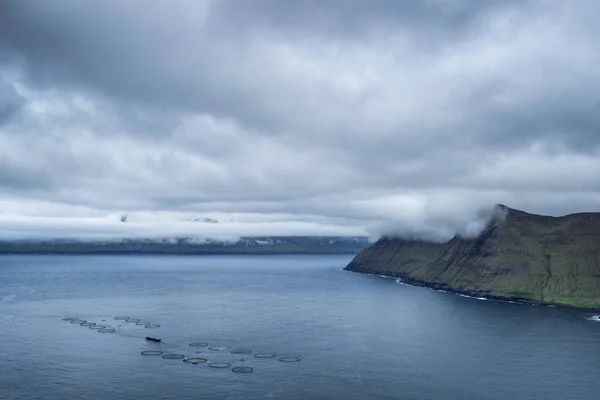 Fırtınalı Havada Çim Çayırları Kayalık Uçurumlarla Faroe Adaları Nın Dramatik — Stok fotoğraf