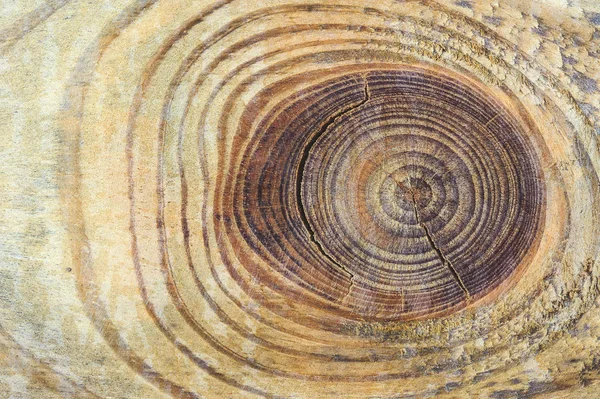 Ahşap masa lambası arka plan doku, deniz mili ile gri panoları üzerinden monte ile.