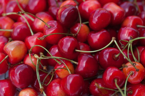 Geel Rood Oranje Kersen Met Groene Takken Een Witte Plaat — Stockfoto