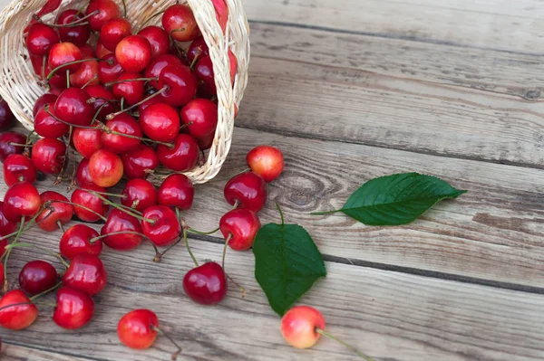 Geel Rood Oranje Cherry Berry Met Groene Bladeren Een Lichte — Stockfoto