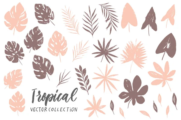 Patrón Floral Romántico Sin Costuras Con Hojas Tropicales — Vector de stock