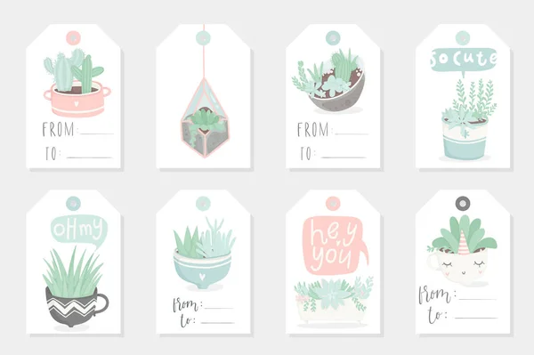 Cute Summer Theme Vector Illustration Cacti Tags — Stock Vector