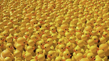 Milyonlarca sarı lastik ördek