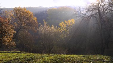duvar kağıdı ve tasarım için peyzaj