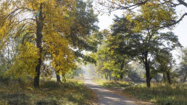 duvar kağıdı ve tasarım için peyzaj